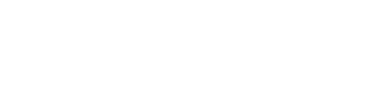 IDEMIA_logo_2021.svg